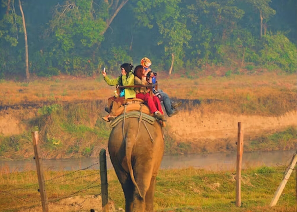 Chitwan Elephant Safari