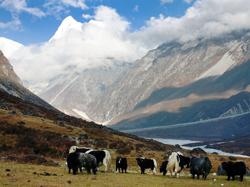 langtang