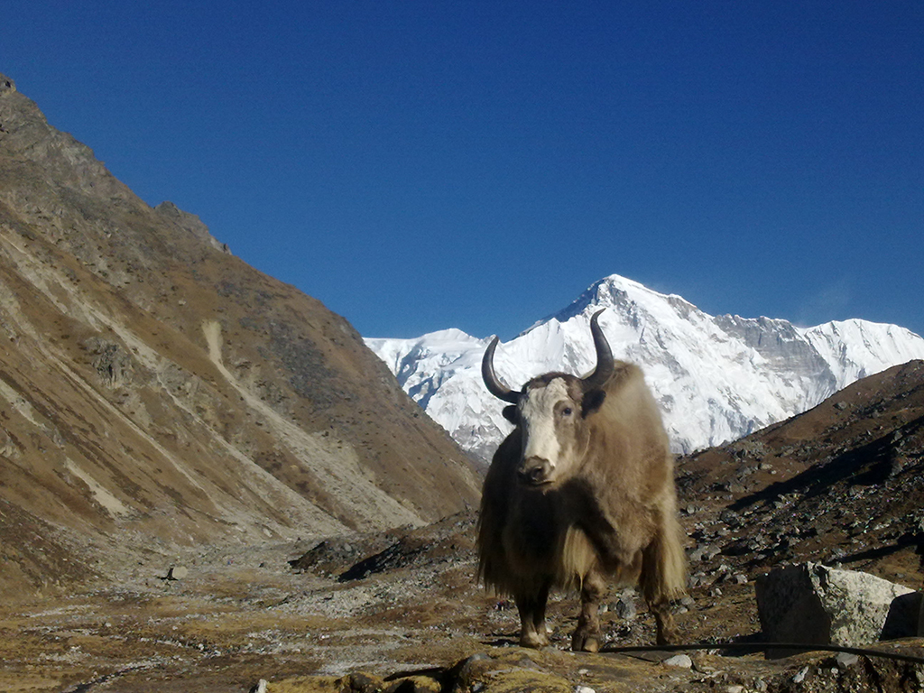 Annapurna Conservation Area