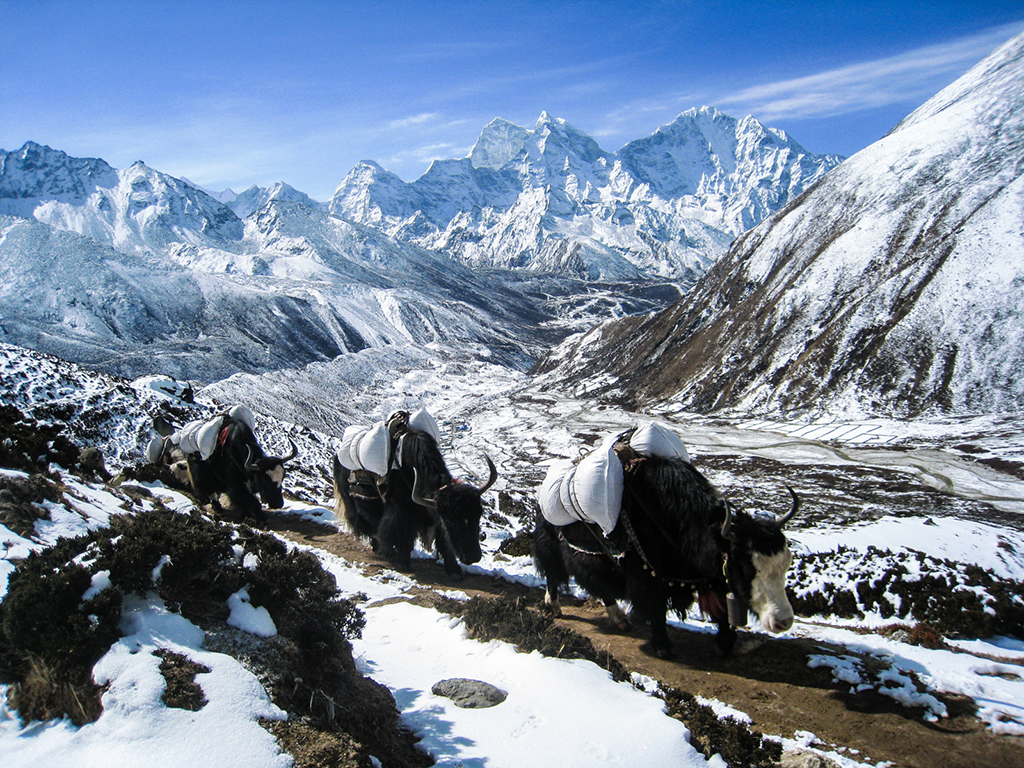 Everest High Pass Trek