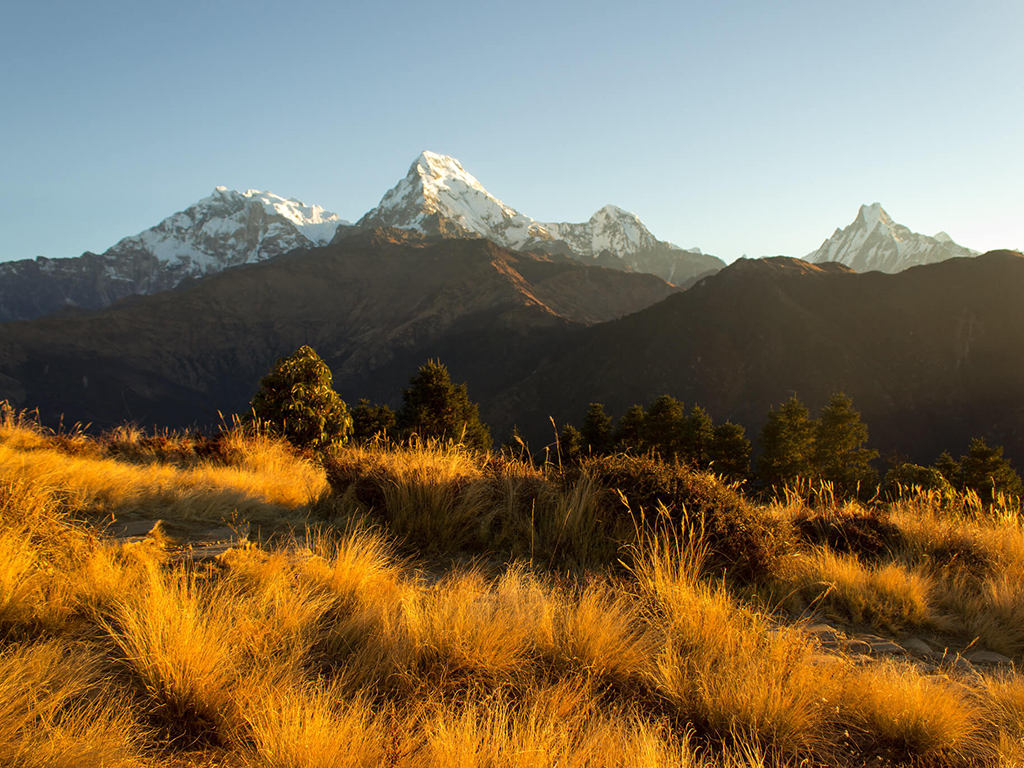 Ghorepani Poonhill Trek