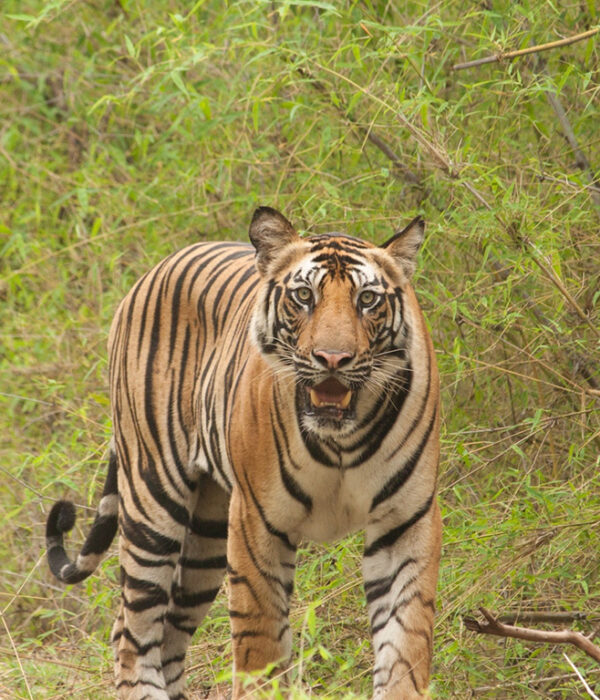 Protected Areas in Nepal