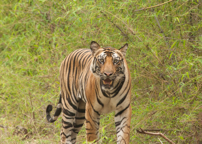 Protected Areas in Nepal